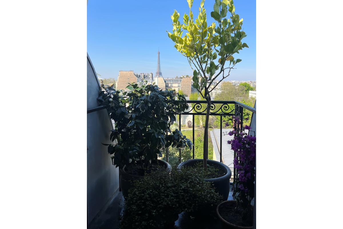 V3098_avueTourEiffel