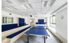 12568-il41pingpong